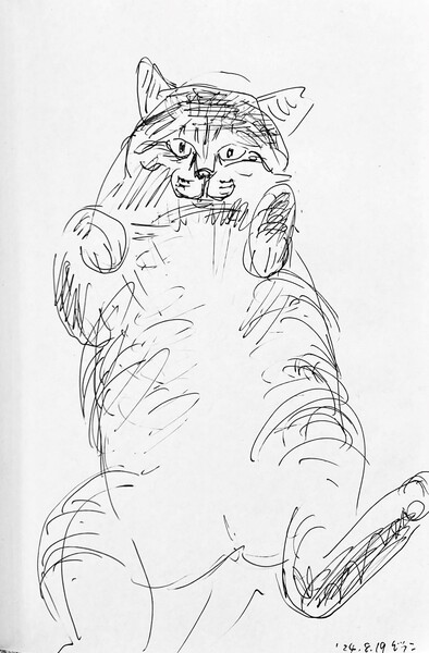 三宅一樹 クロッキー《愛猫一表情》紙にボールペン