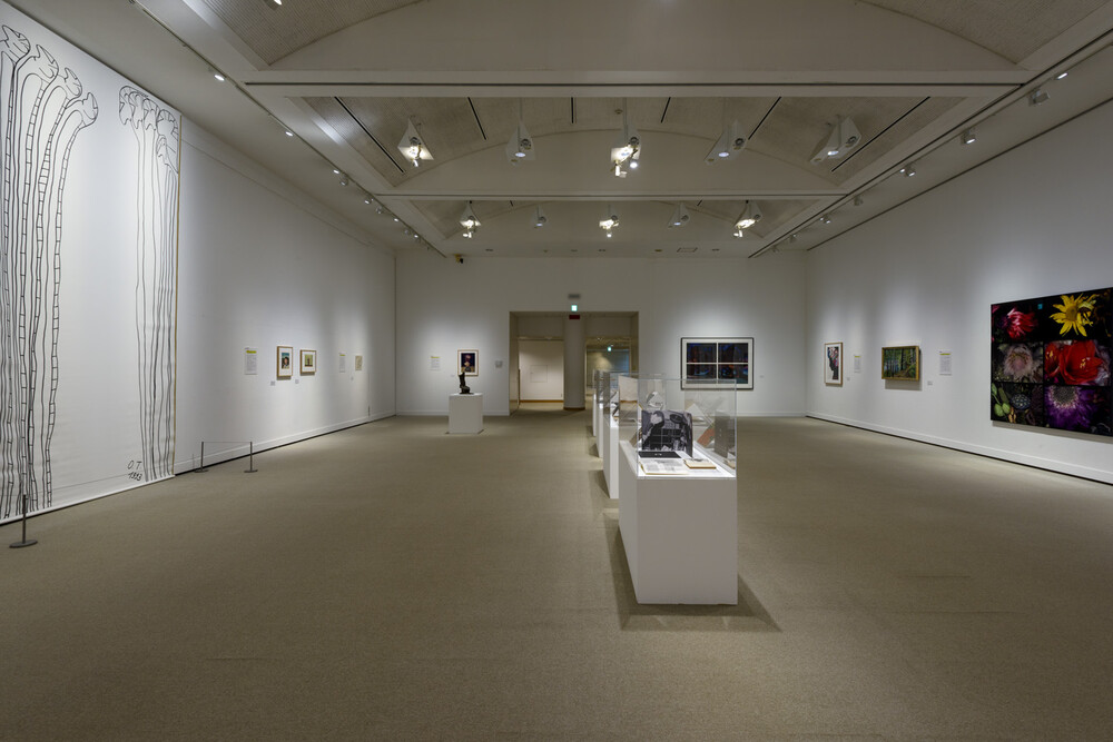 ART / MUSIC | SETAGAYA ART MUSEUM