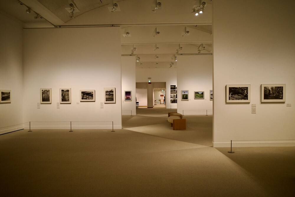 向井潤吉 『春豊富士 甲州 忍野』 展評】世田谷美術館ミュージアム
