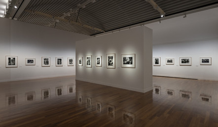 撮影：上野則宏