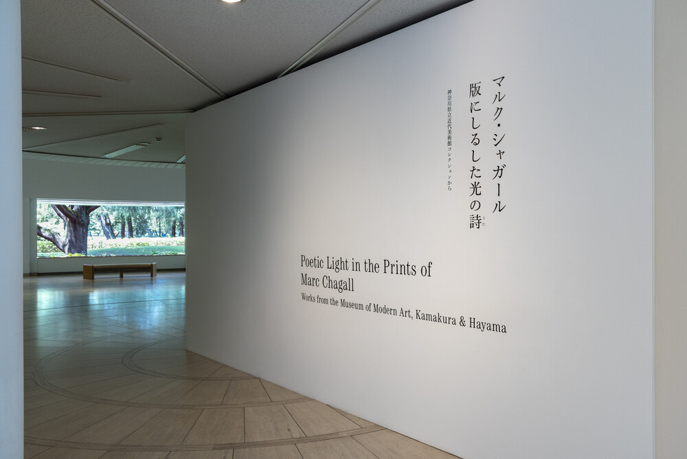 マルク・シャガール 版にしるした光の詩 | 世田谷美術館 SETAGAYA ART