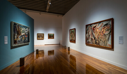 撮影：上野則宏