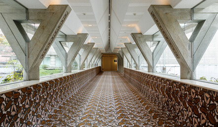 Photo by Manami Takahashi