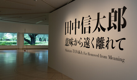 撮影:吉山裕次郎