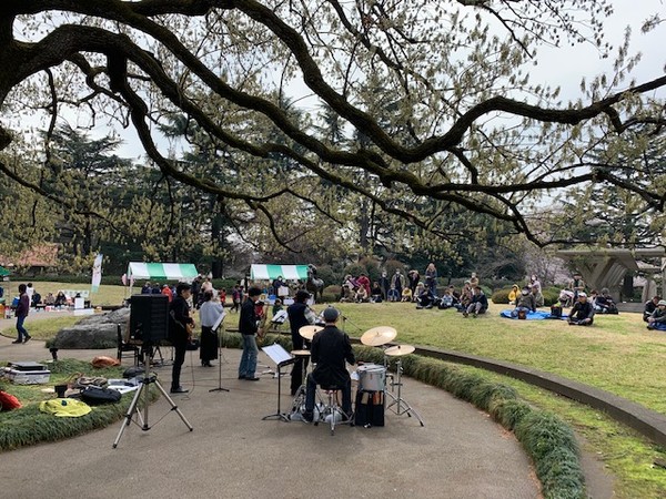 砧公園の桜が満開です 世田谷美術館 Setagaya Art Museum