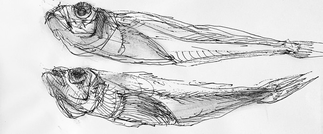 blg_upld00986_c.jpg
