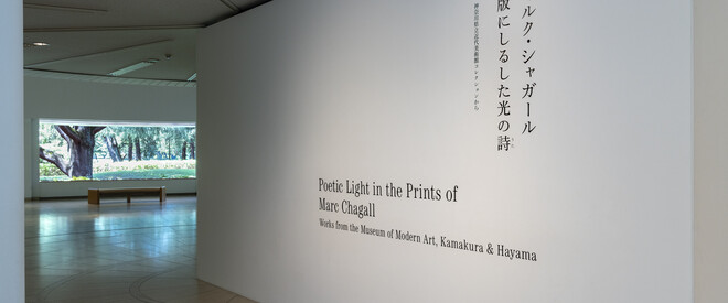マルク・シャガール 版にしるした光の詩 | 世田谷美術館