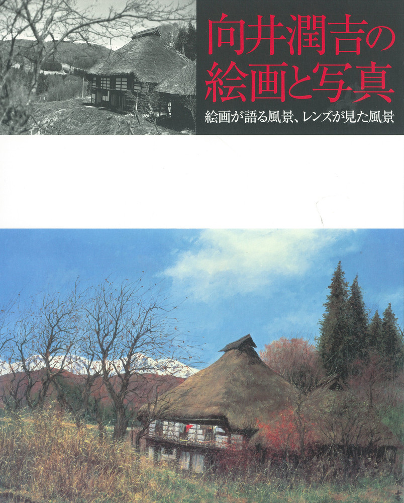 向井潤吉の絵画と写真 絵画が語る風景、レンズが見た風景